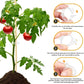 🗜️Klipjes voor klimplanten – Plastic tomatenbinders en plantenbevestigingen 🌱🍅