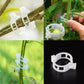 🗜️Klipjes voor klimplanten – Plastic tomatenbinders en plantenbevestigingen 🌱🍅